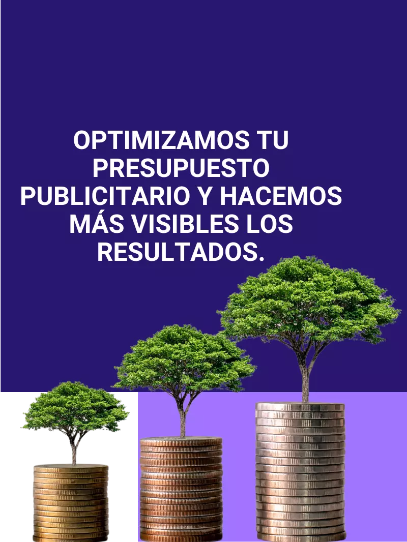 Posicionamiento Ya - Optimizamos tu presupuesto
