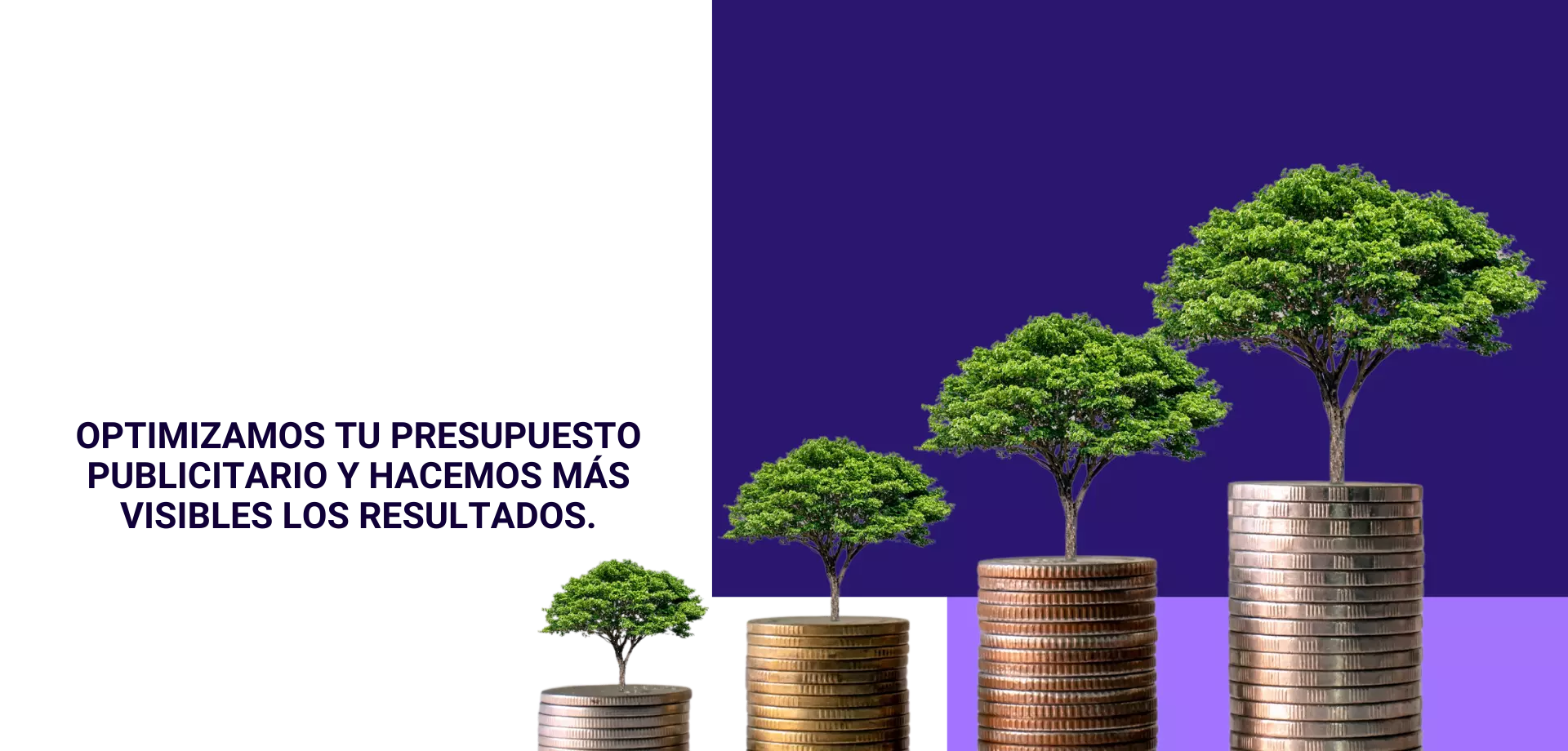 Agencia de Marketing Digital